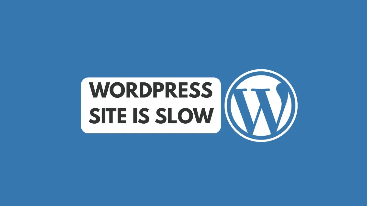 WordPress Speed Optimization