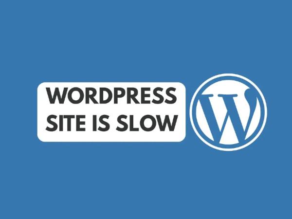 WordPress Speed Optimization